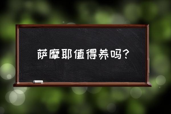 萨摩耶值得养吗 萨摩耶值得养吗？