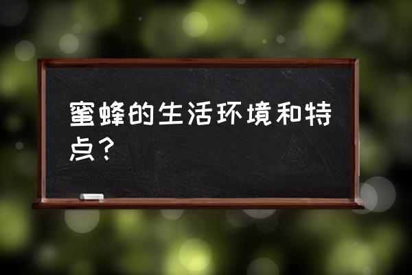 蜜蜂的特点全部大全 蜜蜂的生活环境和特点？