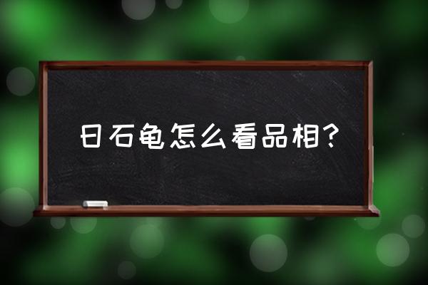 日本石龟怎么看品相 日石龟怎么看品相？