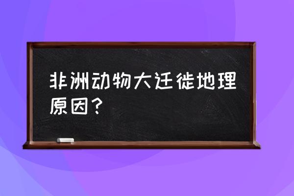 非洲动物大迁徙原因 非洲动物大迁徙地理原因？