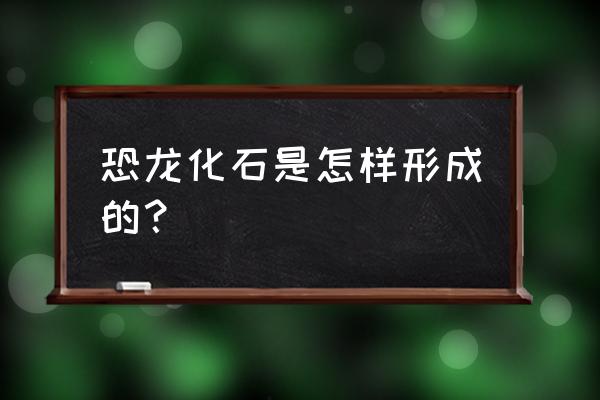 恐龙化石是怎么形成的 恐龙化石是怎样形成的？