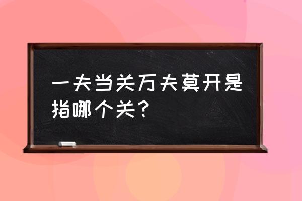 一夫当关万夫莫开哪个关口 一夫当关万夫莫开是指哪个关？