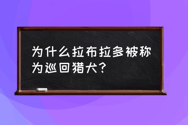 拉布拉多是猎犬还是寻回犬 为什么拉布拉多被称为巡回猎犬？