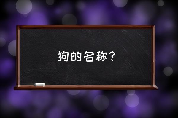 宠物狗名字 狗的名称？