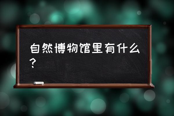 自然博物馆里有什么 自然博物馆里有什么？