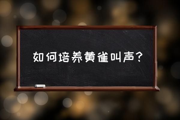 黄雀叫声八大口 如何培养黄雀叫声？