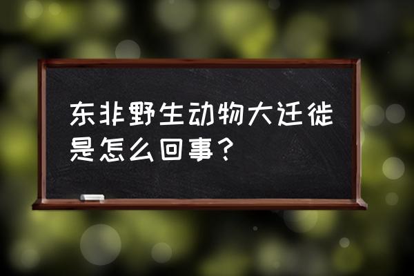 东非野生动物大迁徙的规律 东非野生动物大迁徙是怎么回事？