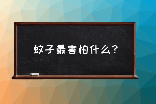 蚊子到底怕什么 蚊子最害怕什么？