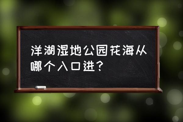 长沙洋湖湿地公园花海 洋湖湿地公园花海从哪个入口进？