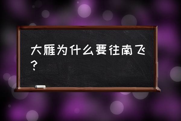 大雁为什么往南飞 大雁为什么要往南飞？