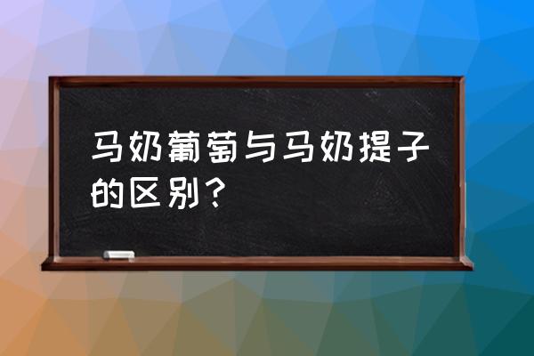 马奶提和葡萄的区别 马奶葡萄与马奶提子的区别？