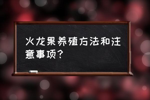 火龙果种植技术和技巧 火龙果养殖方法和注意事项？