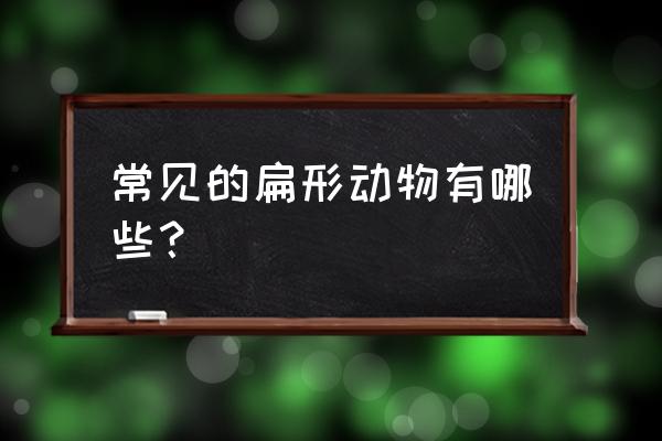 常见扁形动物 常见的扁形动物有哪些？