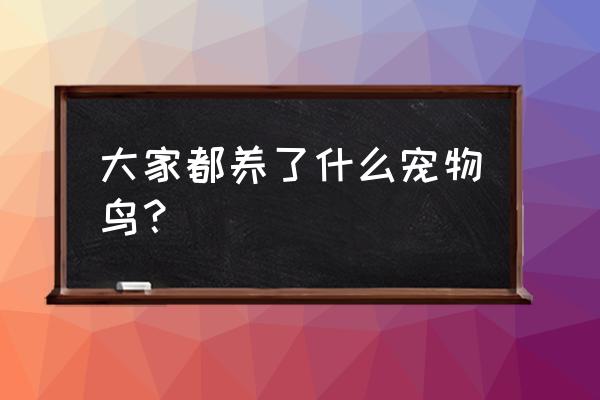 宠物鸟的形状 大家都养了什么宠物鸟？