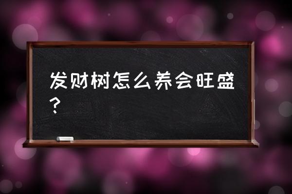 发财树怎么养才能更旺盛 发财树怎么养会旺盛？