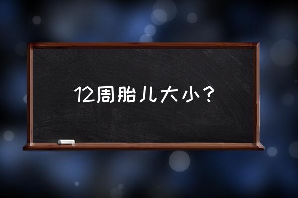 怀孕12周胎儿大概有多大 12周胎儿大小？