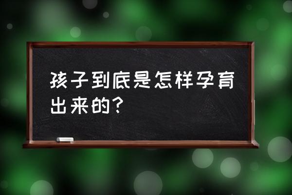 怀孕的全部过程 孩子到底是怎样孕育出来的？