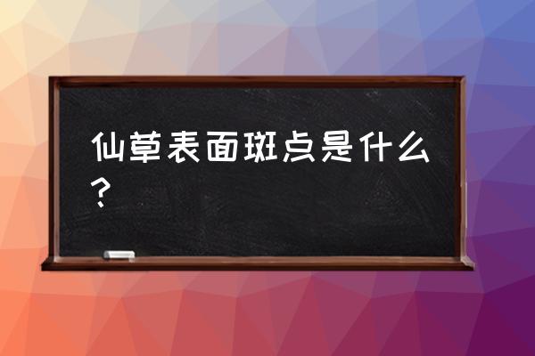 疏花蛇菰功效与作用 仙草表面斑点是什么？