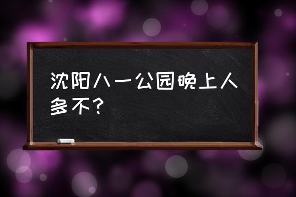 沈阳八一公园白天有吗 沈阳八一公园晚上人多不？