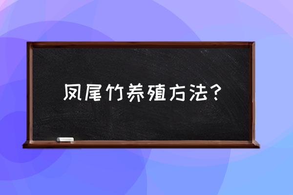 凤尾竹养殖方法要技 凤尾竹养殖方法？