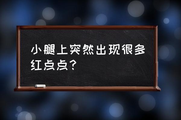 小腿上面有红色的点点 小腿上突然出现很多红点点？