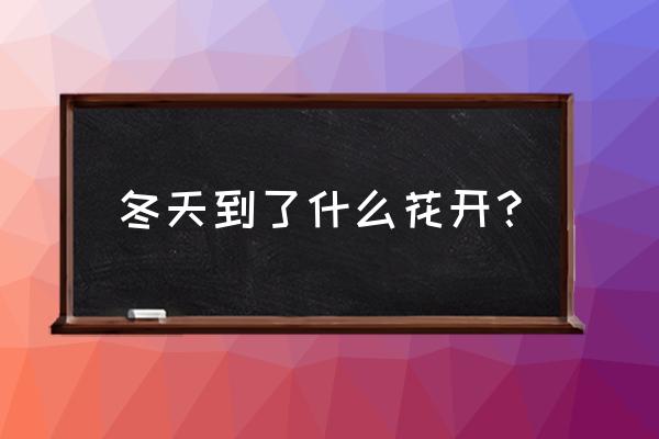 冬天开的常见的花 冬天到了什么花开？