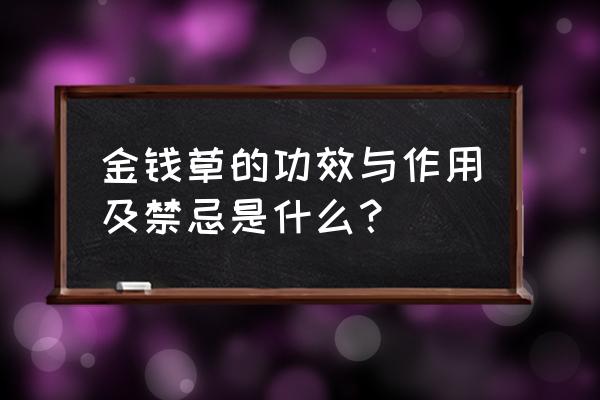 金钱草冲剂的禁忌 金钱草的功效与作用及禁忌是什么？