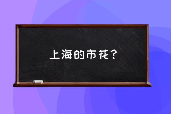 上海市市花叫什么名字 上海的市花？