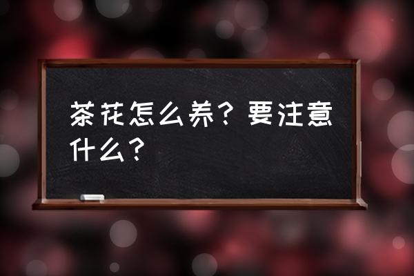 茶花怎么养要注意什么 茶花怎么养？要注意什么？