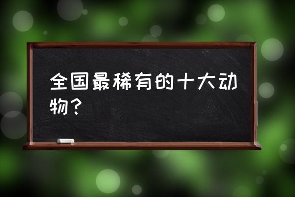 十种罕见的动物 全国最稀有的十大动物？