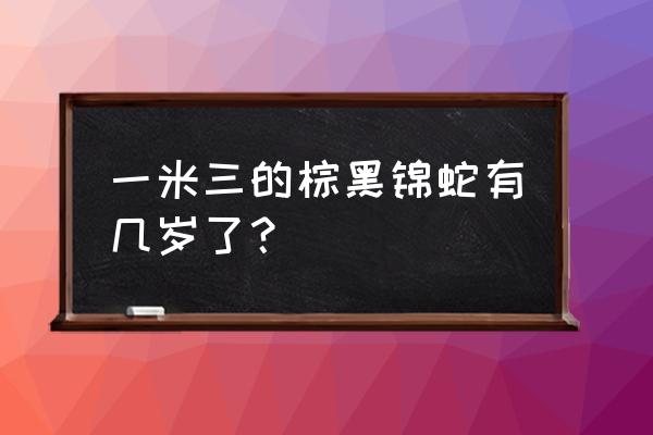 棕黑锦蛇寿命 一米三的棕黑锦蛇有几岁了？