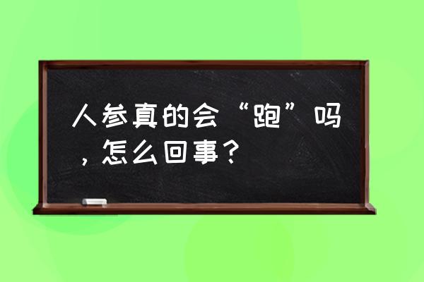 人参会跑什么原理 人参真的会“跑”吗，怎么回事？