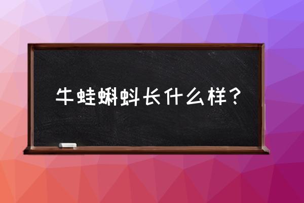 牛蛙是不是蝌蚪 牛蛙蝌蚪长什么样？