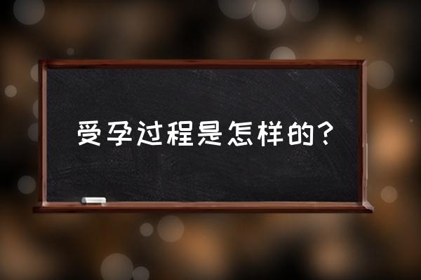 新婚之夜怀孕步骤 受孕过程是怎样的？