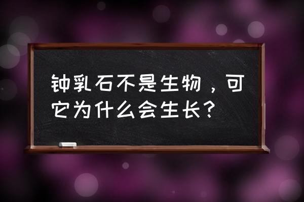 钟乳石是生物吗理由 钟乳石不是生物，可它为什么会生长？