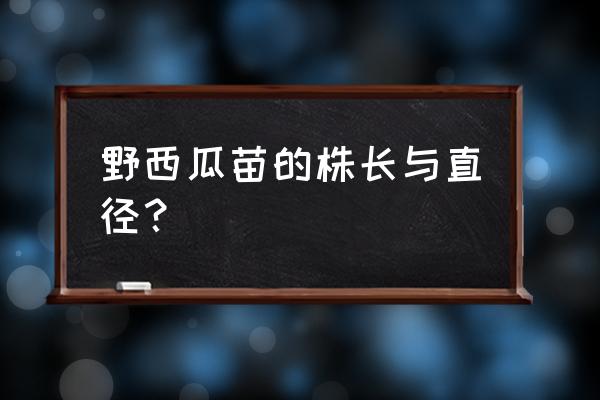 野西瓜的苗木长什么样 野西瓜苗的株长与直径？