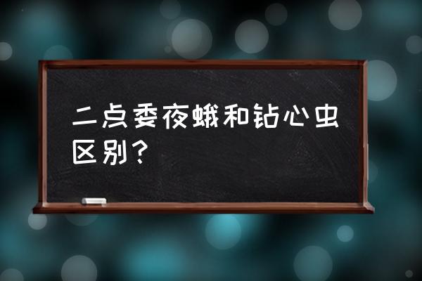 棉铃虫和甜菜夜蛾区别 二点委夜蛾和钻心虫区别？