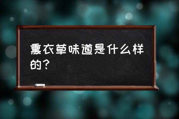 薰衣草香料的功效与作用 熏衣草味道是什么样的？