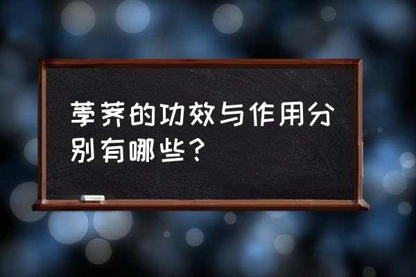 荸荠的神奇功效 荸荠的功效与作用分别有哪些？