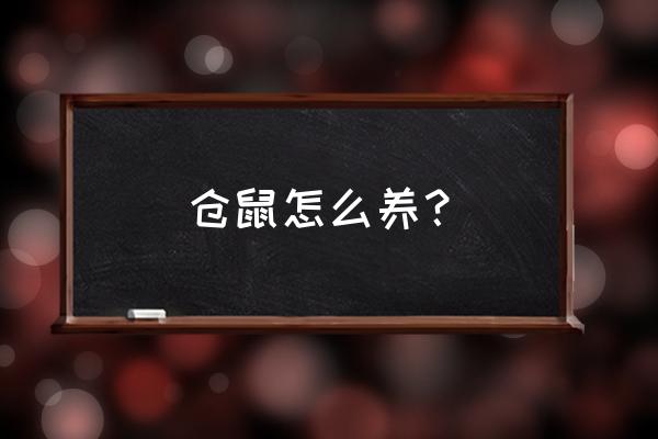 仓鼠怎么养最正确 仓鼠怎么养？