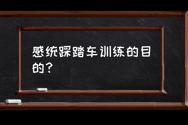 感统训练器材及功能 感统踩踏车训练的目的？