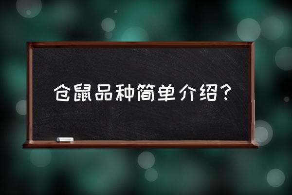 仓鼠品种介绍 仓鼠品种简单介绍？