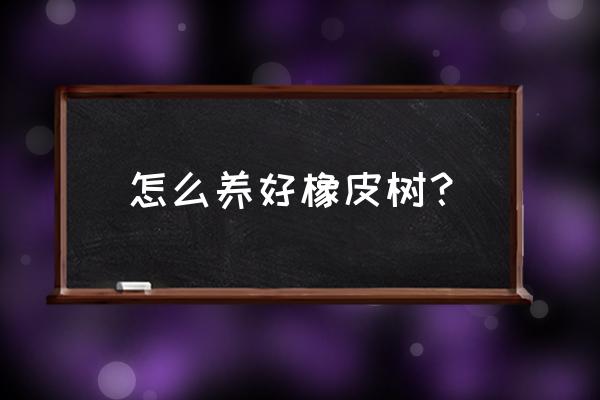 橡皮树怎么养才长得好 怎么养好橡皮树？