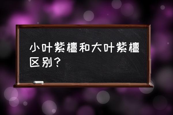 大叶紫檀与小叶紫檀的区别 小叶紫檀和大叶紫檀区别？