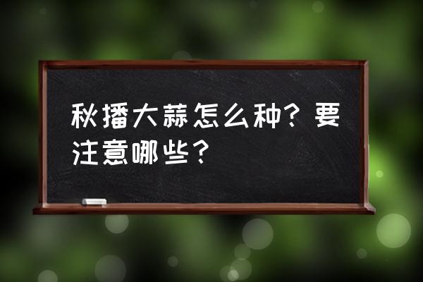 秋播大蒜栽培技术要点 秋播大蒜怎么种？要注意哪些？