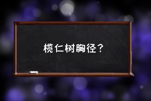 大叶榄仁胸径 榄仁树胸径？