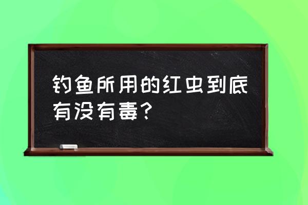 红虫到底有没有毒 钓鱼所用的红虫到底有没有毒？