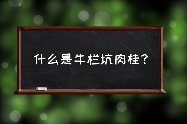 牛栏坑肉桂简介 什么是牛栏坑肉桂？