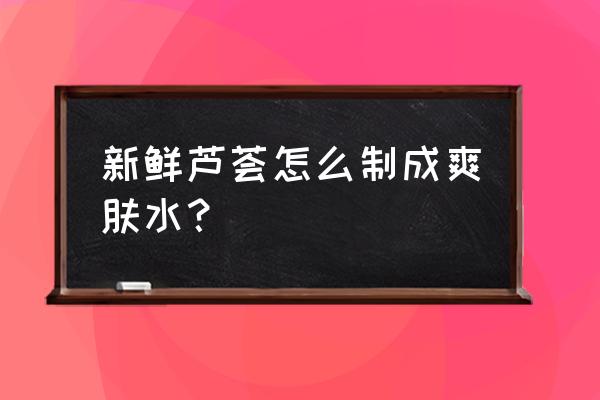 自制芦荟爽肤水 新鲜芦荟怎么制成爽肤水？