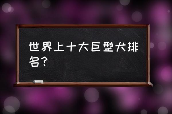 超大型犬排名 世界上十大巨型犬排名？